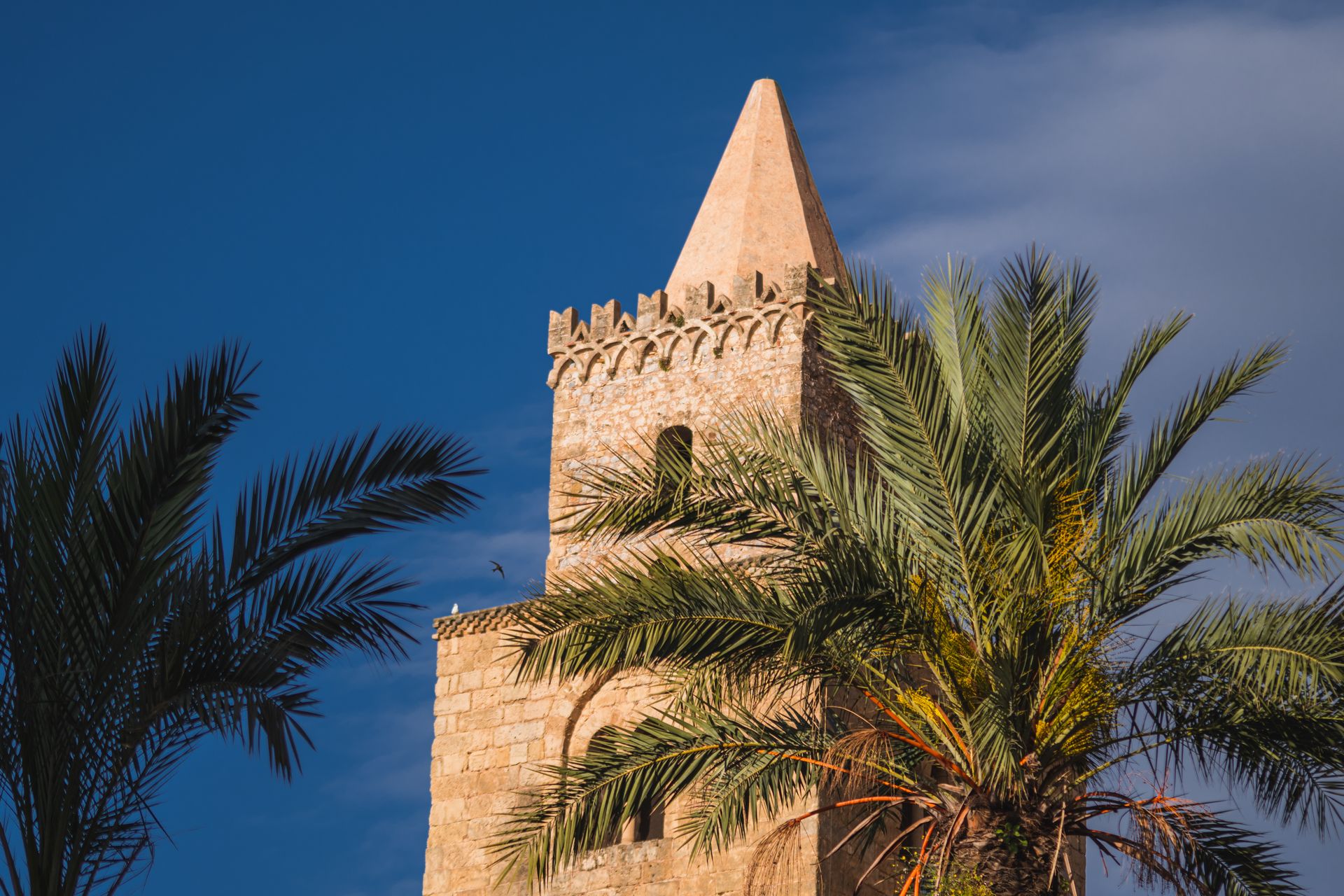 cattedrale-cefalu-2026-2