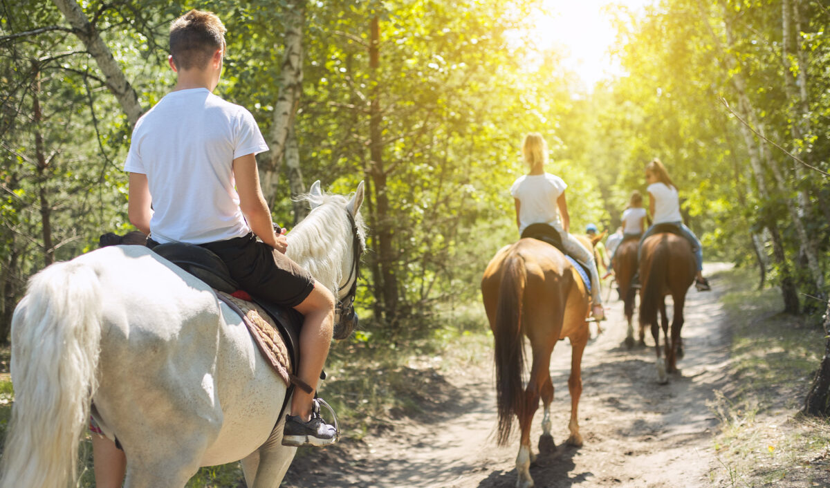 Passeggiata a cavallo con Sicily Horse Tour