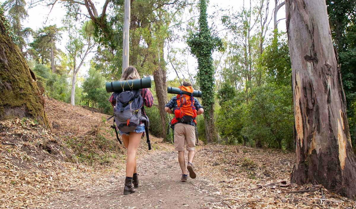 Trekking nel Parco delle Madonie